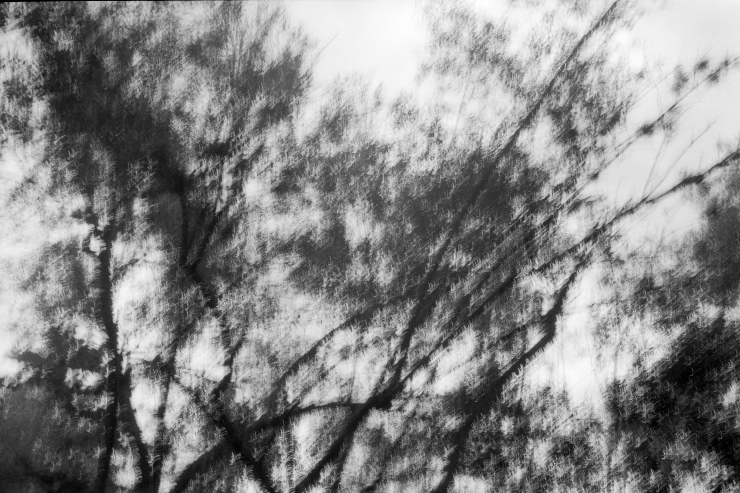 AHP FilmScan 240807 0470